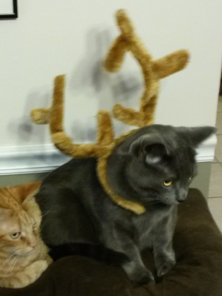 "General, go put on your Christmas antlers and sit in timeout!"